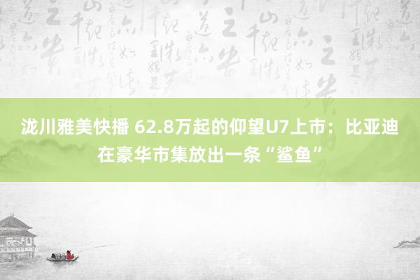 泷川雅美快播 62.8万起的仰望U7上市：比亚迪在豪华市集放出一条“鲨鱼”