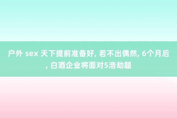 户外 sex 天下提前准备好， 若不出偶然， 6个月后， 白酒企业将面对5浩劫题