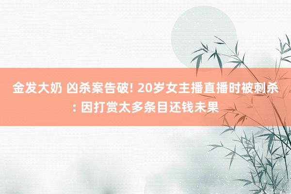 金发大奶 凶杀案告破! 20岁女主播直播时被刺杀: 因打赏太多条目还钱未果