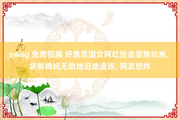 swag 免费视频 好意思国女网红抢走袋熊幼崽， 袋熊姆妈无助地沿途追逐， 网友怒炸