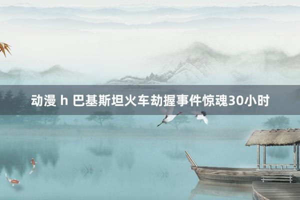 动漫 h 巴基斯坦火车劫握事件惊魂30小时
