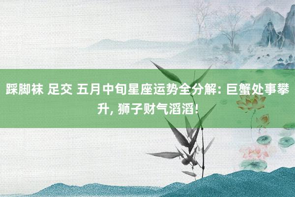 踩脚袜 足交 五月中旬星座运势全分解: 巨蟹处事攀升， 狮子财气滔滔!