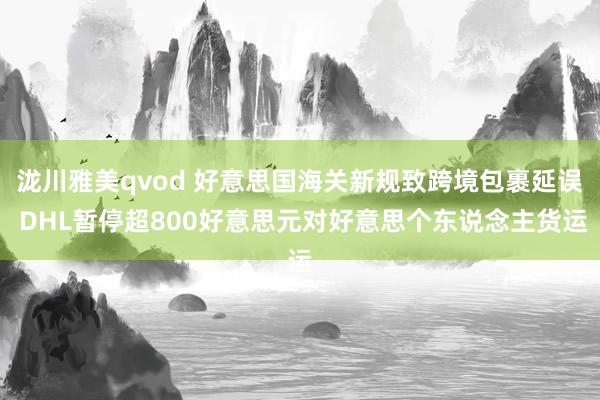 泷川雅美qvod 好意思国海关新规致跨境包裹延误 DHL暂停超800好意思元对好意思个东说念主货运