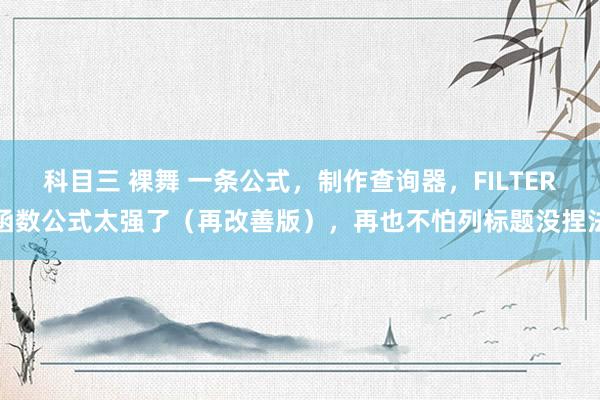 科目三 裸舞 一条公式，制作查询器，FILTER函数公式太强了（再改善版），再也不怕列标题没捏法