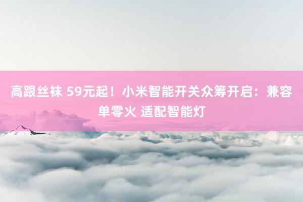 高跟丝袜 59元起！小米智能开关众筹开启：兼容单零火 适配智能灯