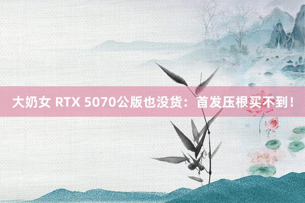 大奶女 RTX 5070公版也没货：首发压根买不到！