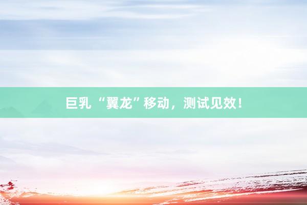 巨乳 “翼龙”移动，测试见效！